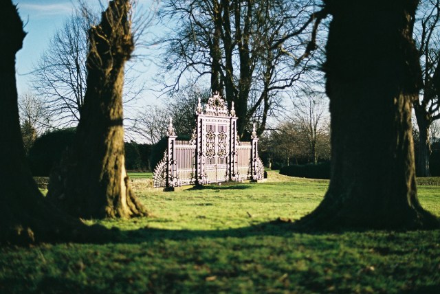Blacksmith, Hand forged, Design, Ironwork, Forge, Wrought Ironwork, Hot Forged, Blacksmithing, Tijou, Petworth, Petworth House, Jean Tijou, Petworth Gates, Brawn and Downing